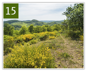 veldenz_wanderweg